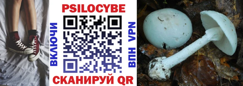 Галлюциногенные грибы ЛСД  OMG ТОР  Мамоново  купить наркоту 